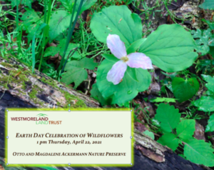 Earth Day Celebration of Wildflowers @ Otto and Magdalene Ackermann Nature Preserve