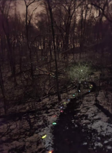 New Year's Evening Glow Stick Hike @ Otto and Magdalene Ackermann Nature Preserve