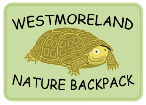 Westmoreland Nature Backpack Presentation @ Mount Pleasant Public Library