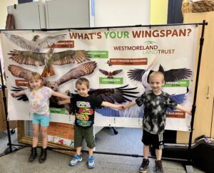 Our Feathered Friends Program @ Penn Area Library @ Penn Area Library