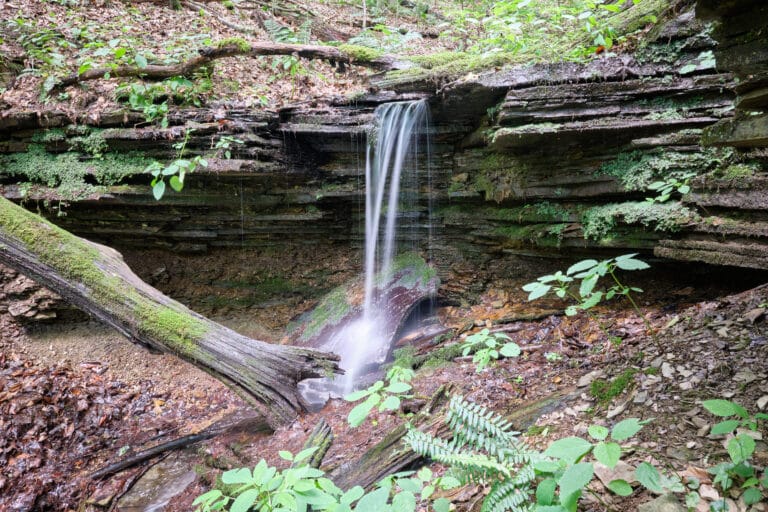 Ackermann Nature Preserve
